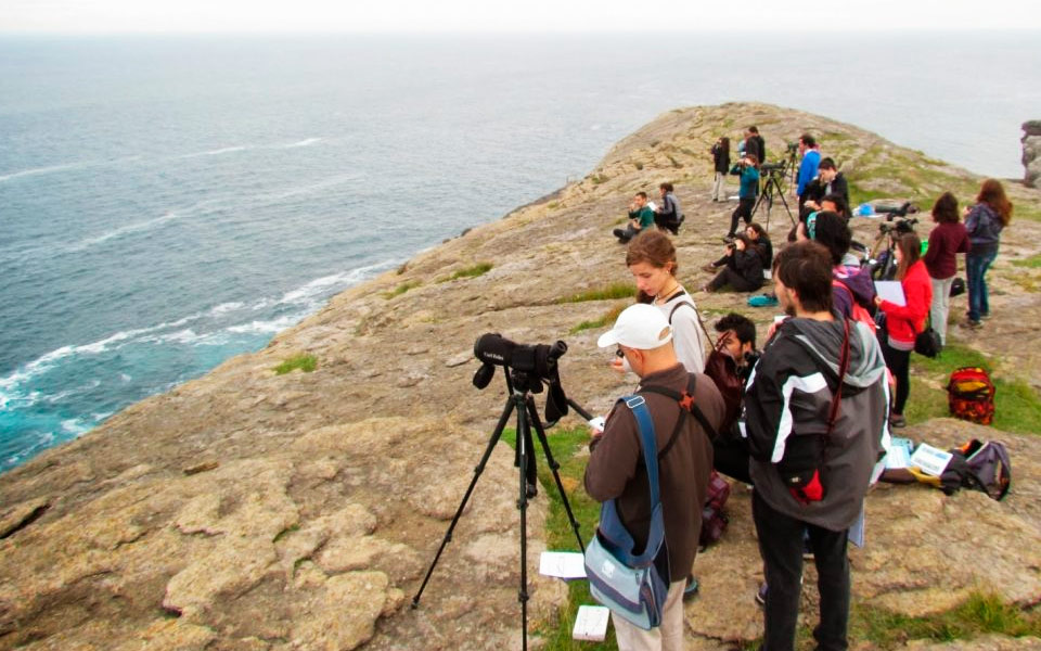 People watching birds in Tarifa