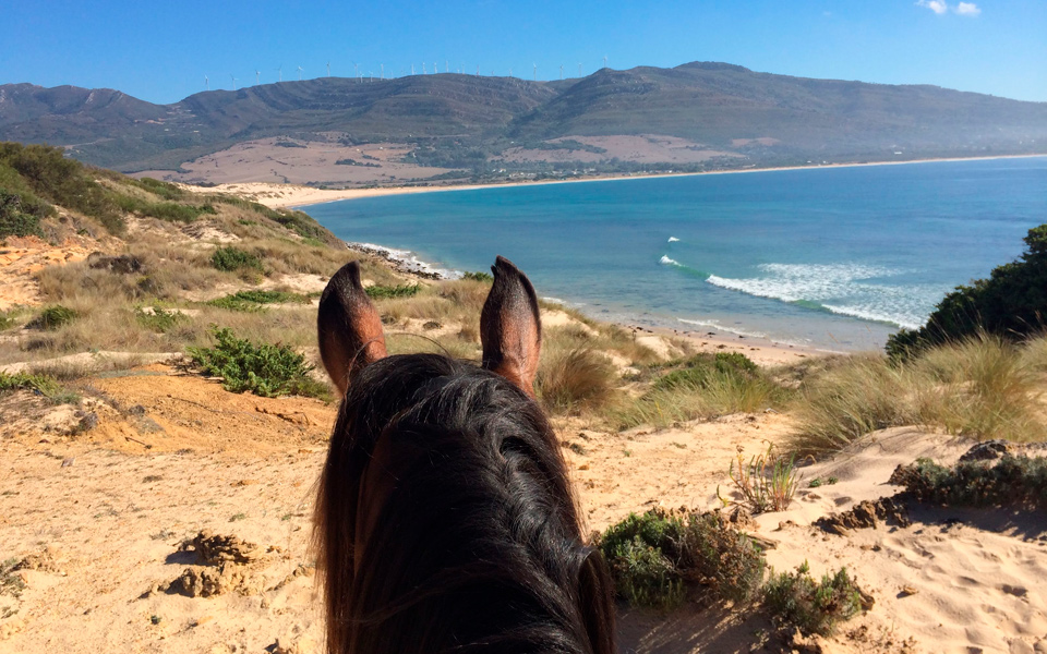 Horse in Punta Paloma and beach